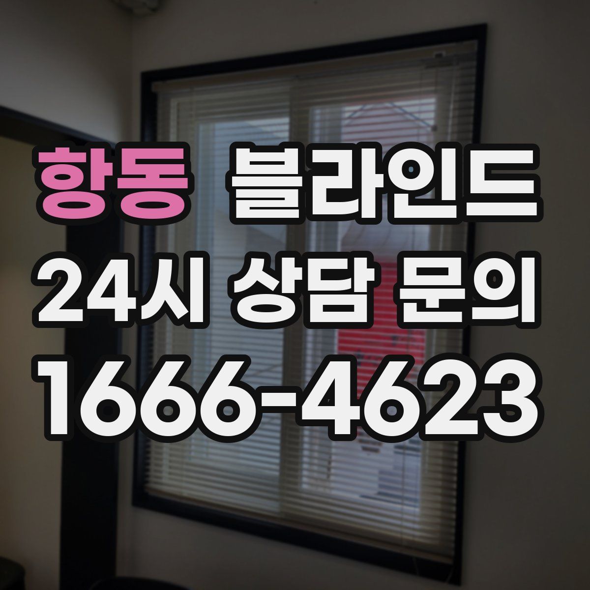 항동 블라인드
