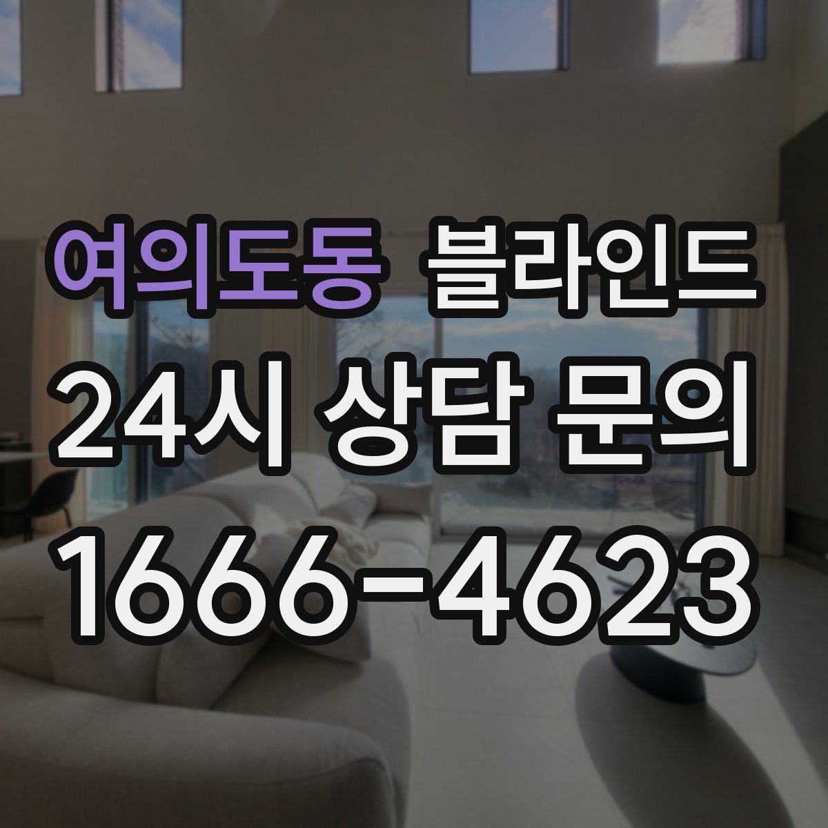 여의도동 블라인드