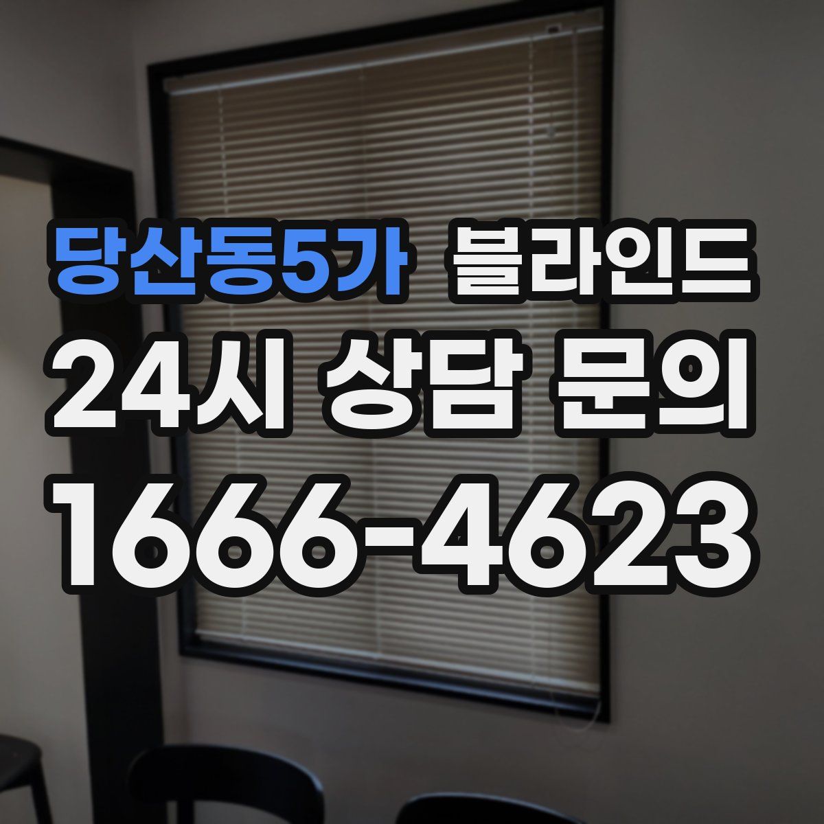 당산동5가 블라인드