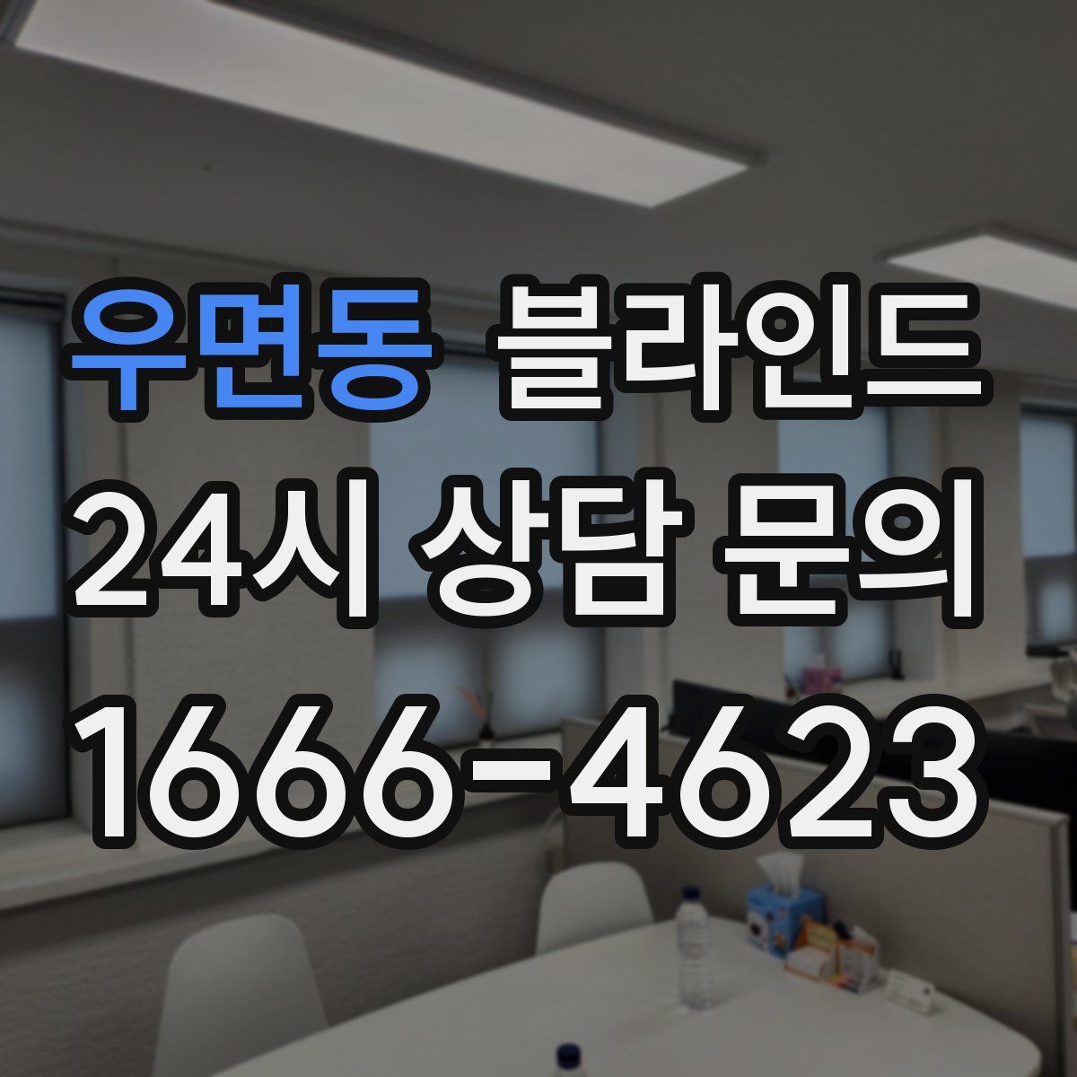우면동 블라인드