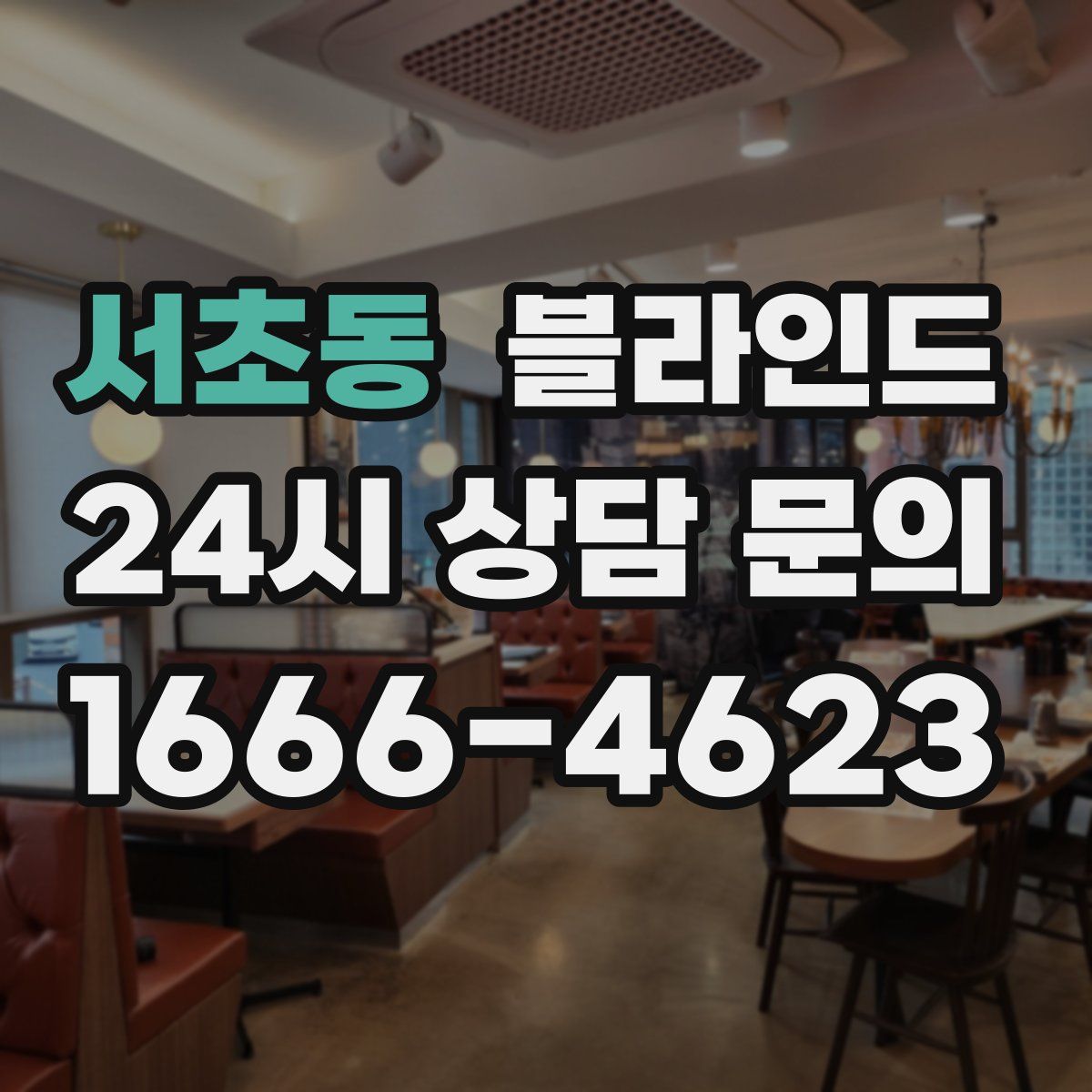 서초동 블라인드