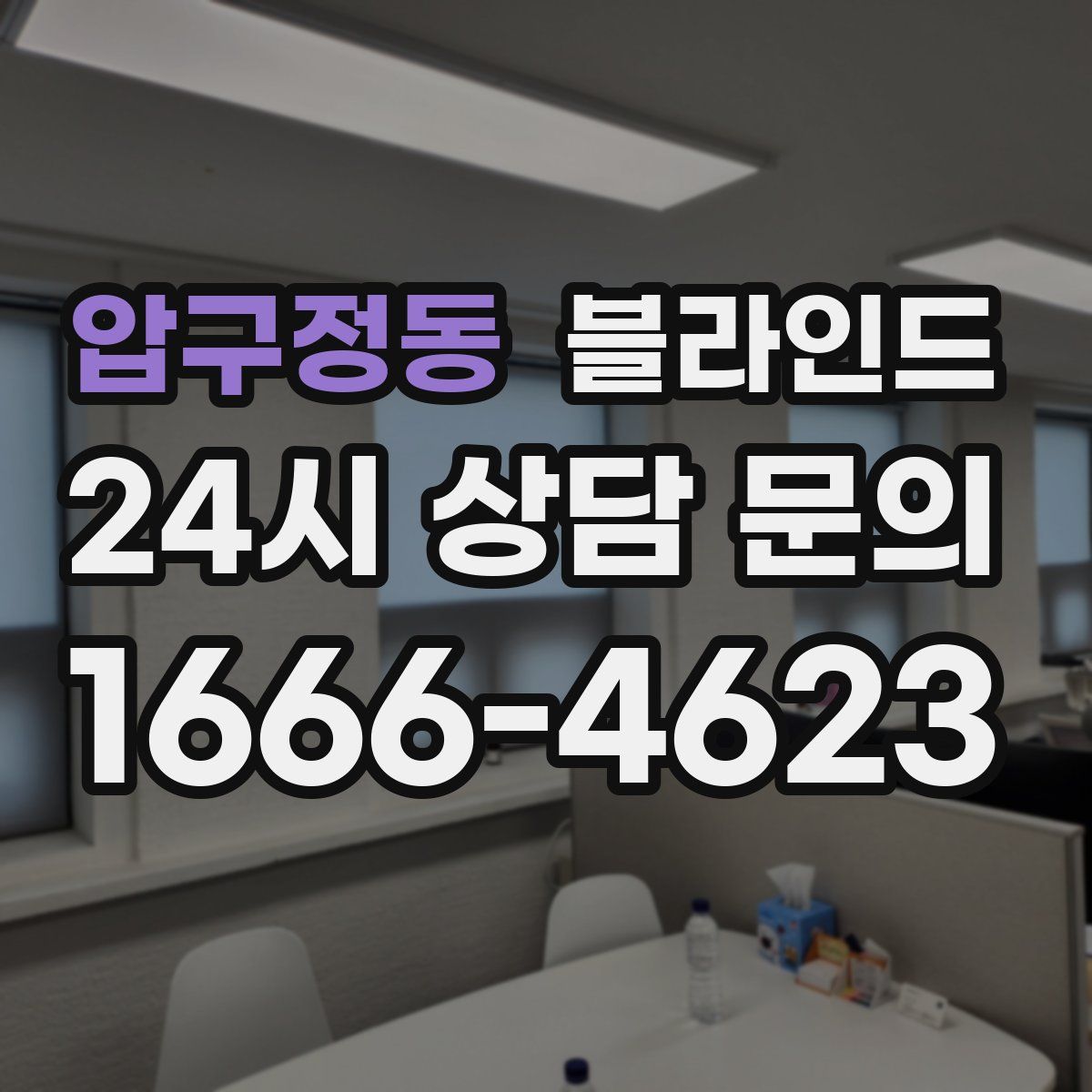 압구정동 블라인드