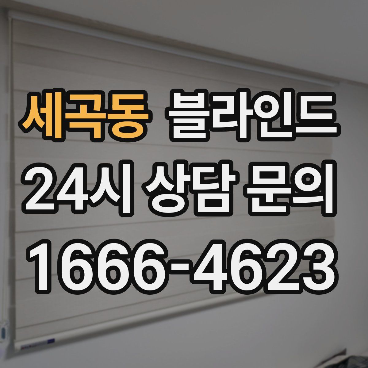 세곡동 블라인드