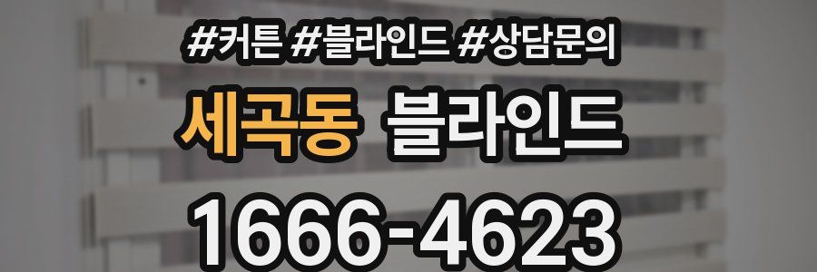 세곡동 블라인드