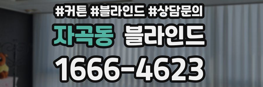 자곡동 블라인드