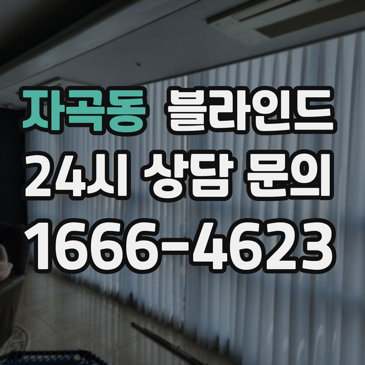 자곡동 블라인드