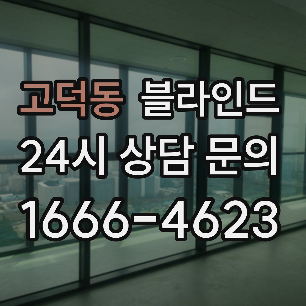 고덕동 블라인드