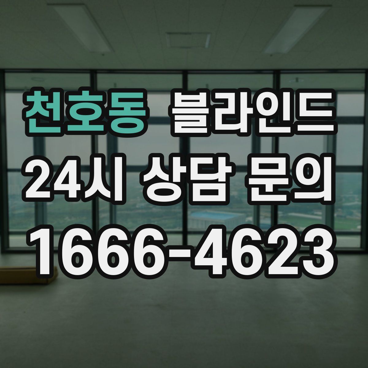 천호동 블라인드