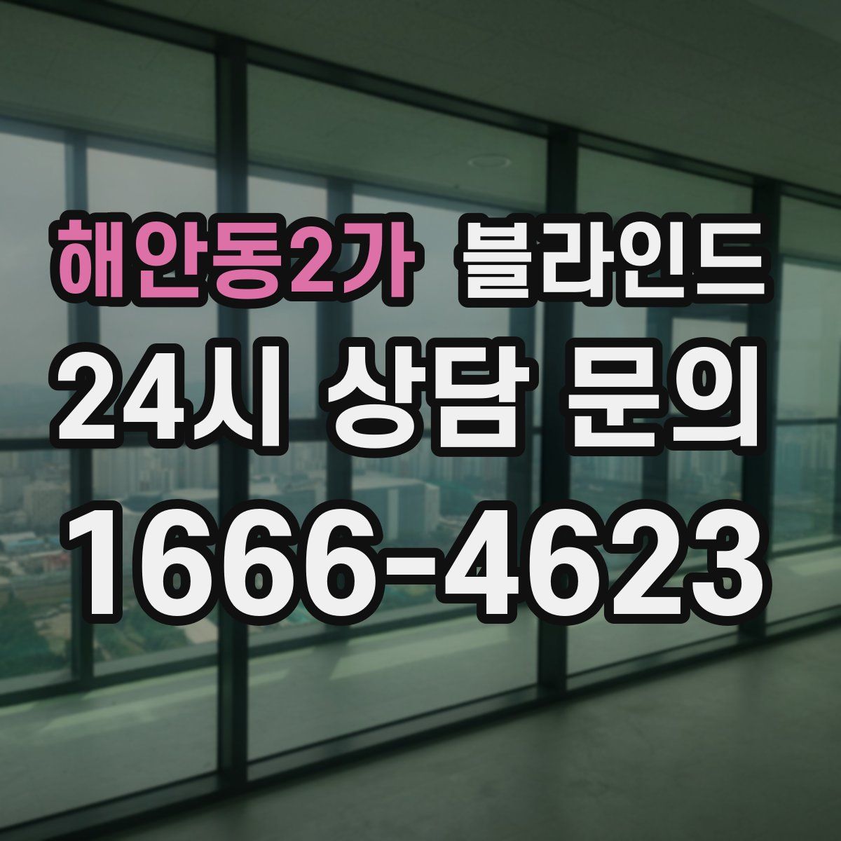 해안동2가 블라인드