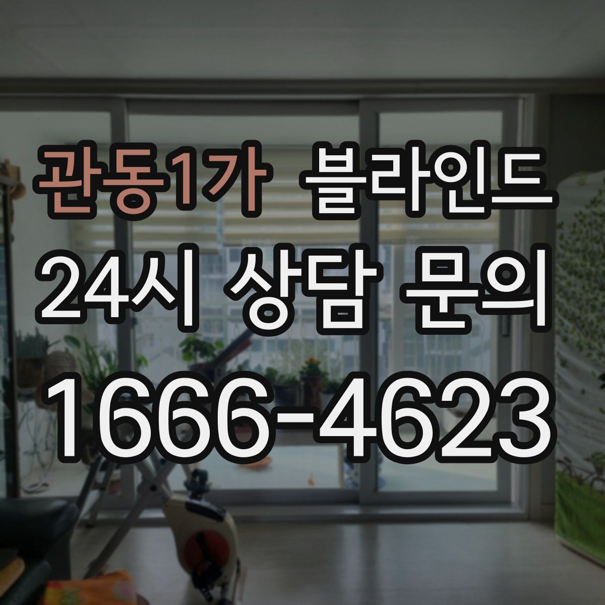 관동1가 블라인드