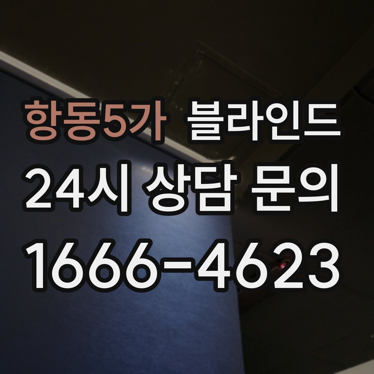 항동5가 블라인드