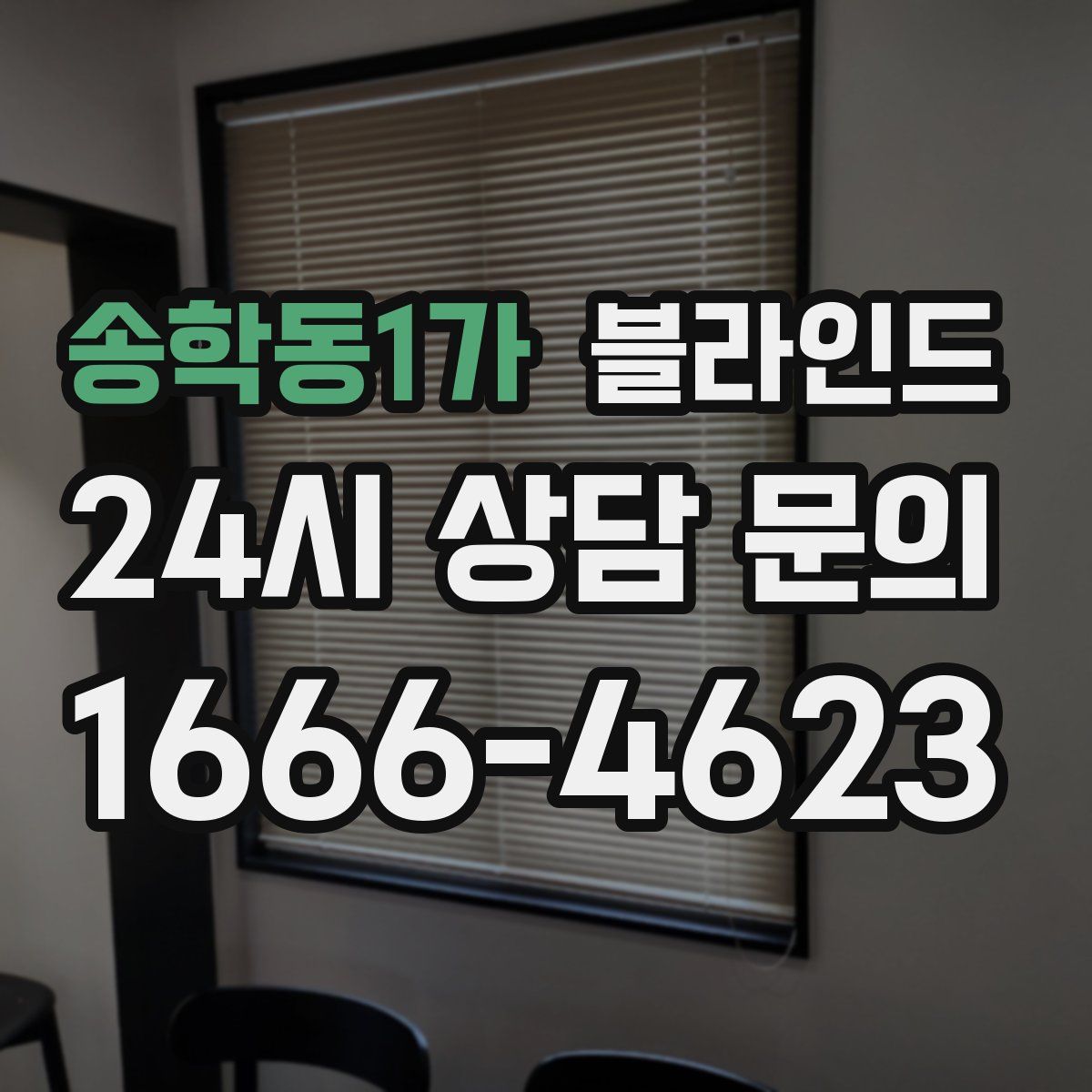 송학동1가 블라인드