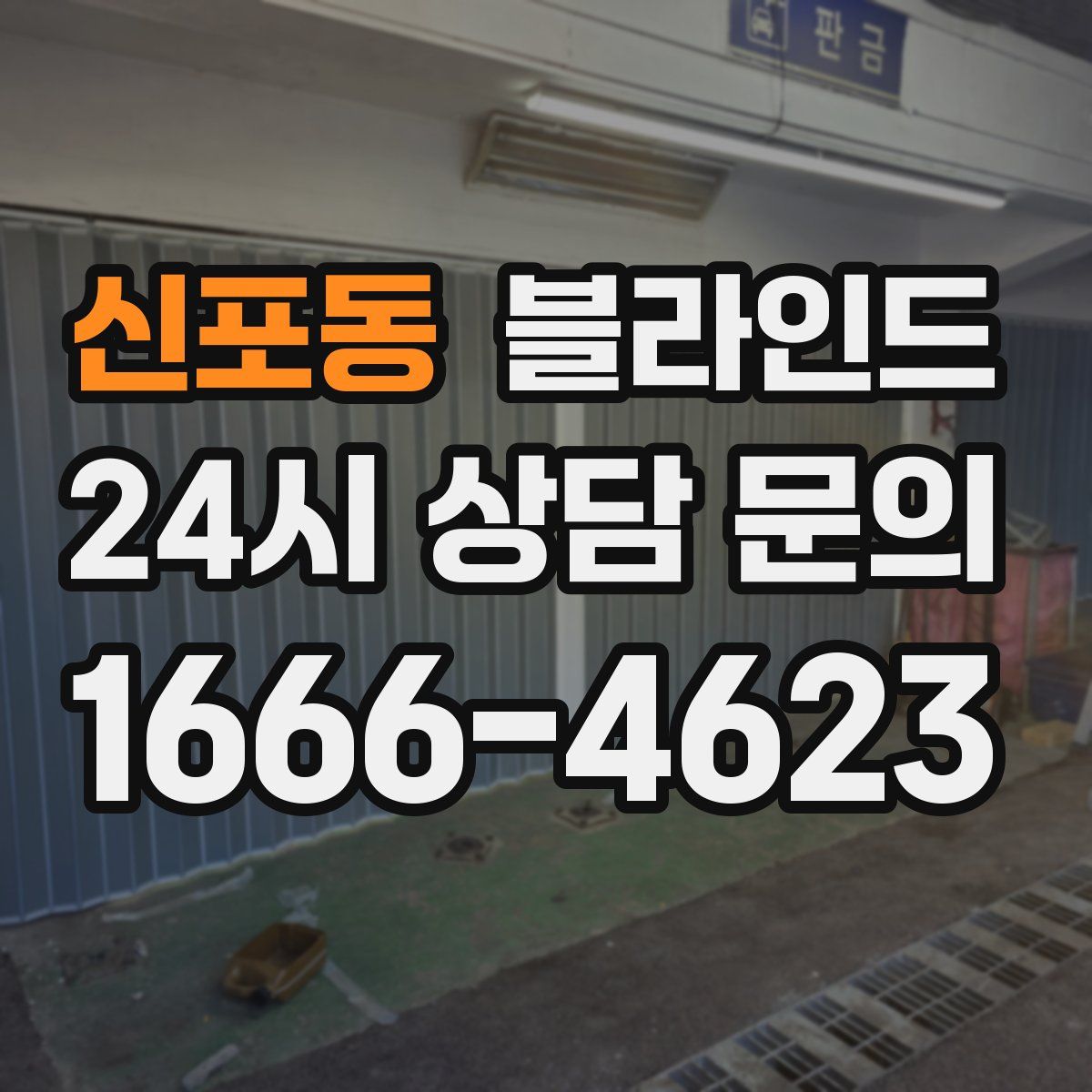 신포동 블라인드