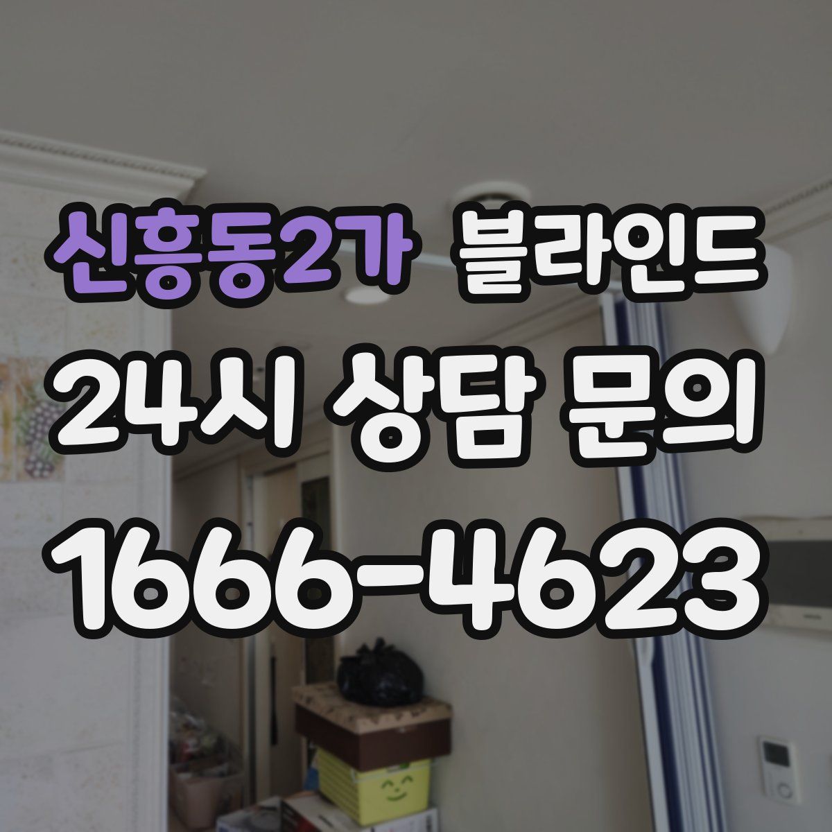 신흥동2가 블라인드