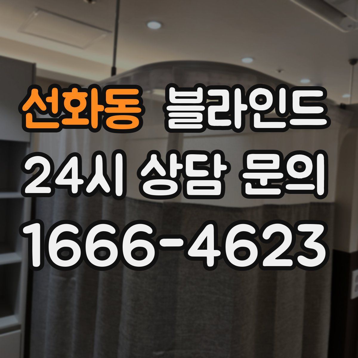 선화동 블라인드