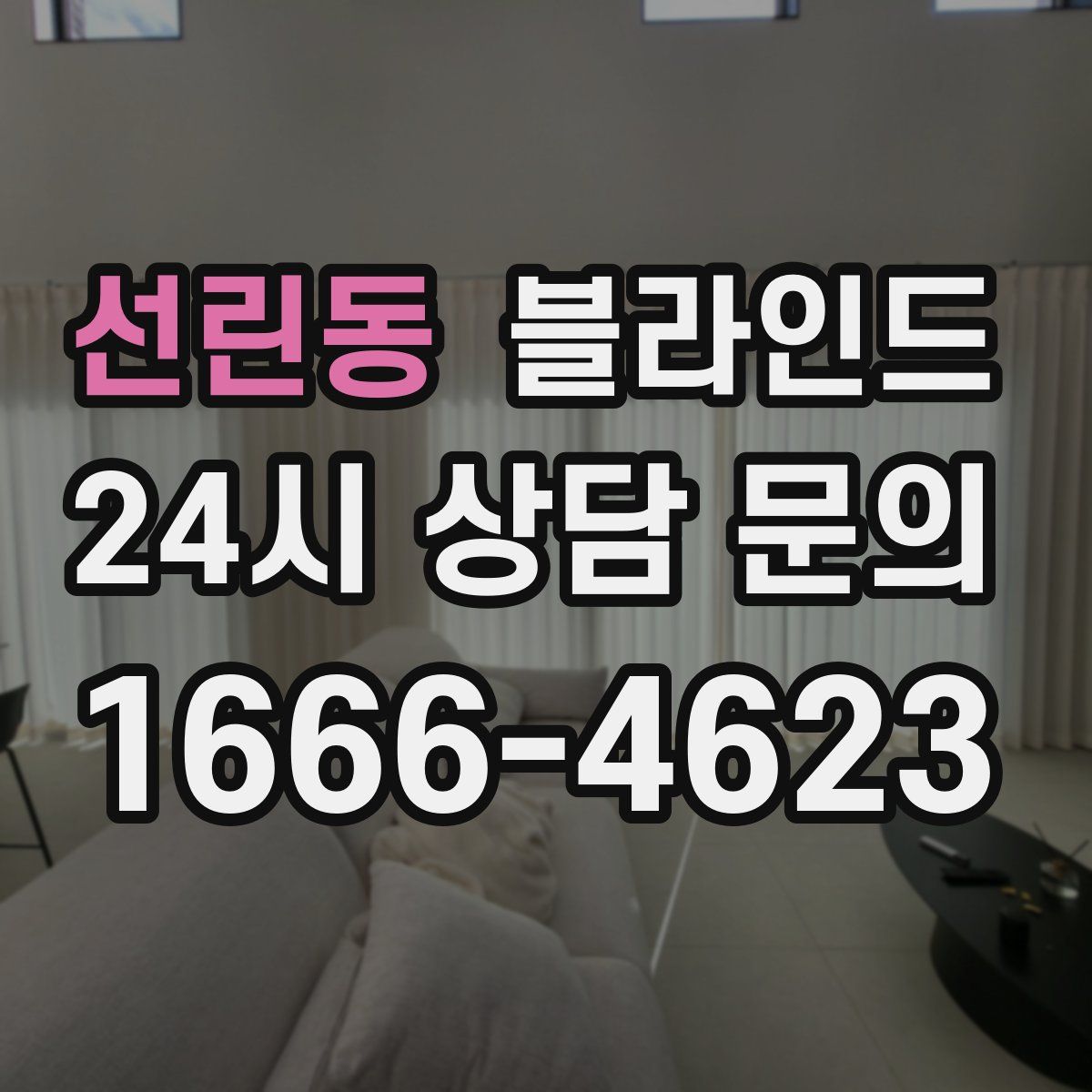선린동 블라인드