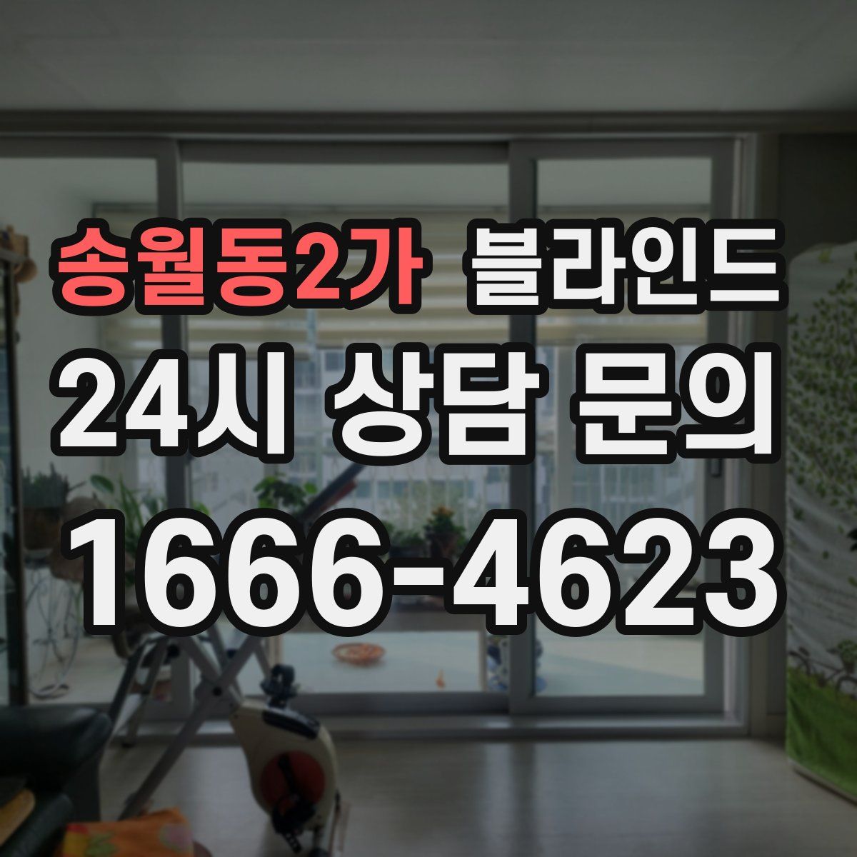 송월동2가 블라인드
