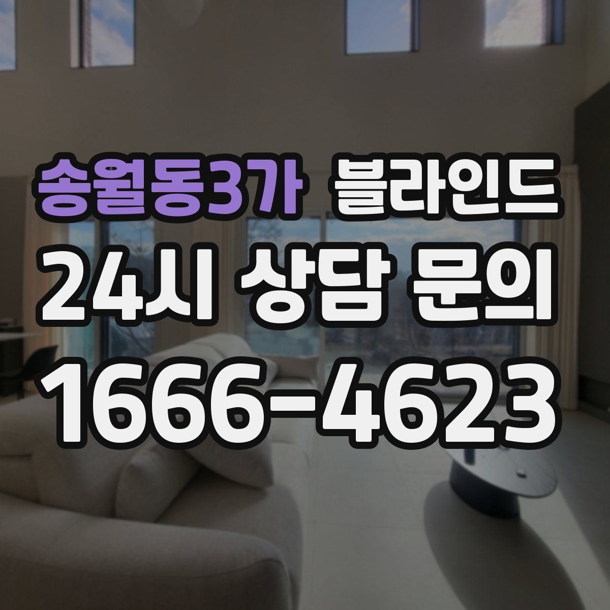 송월동3가 블라인드