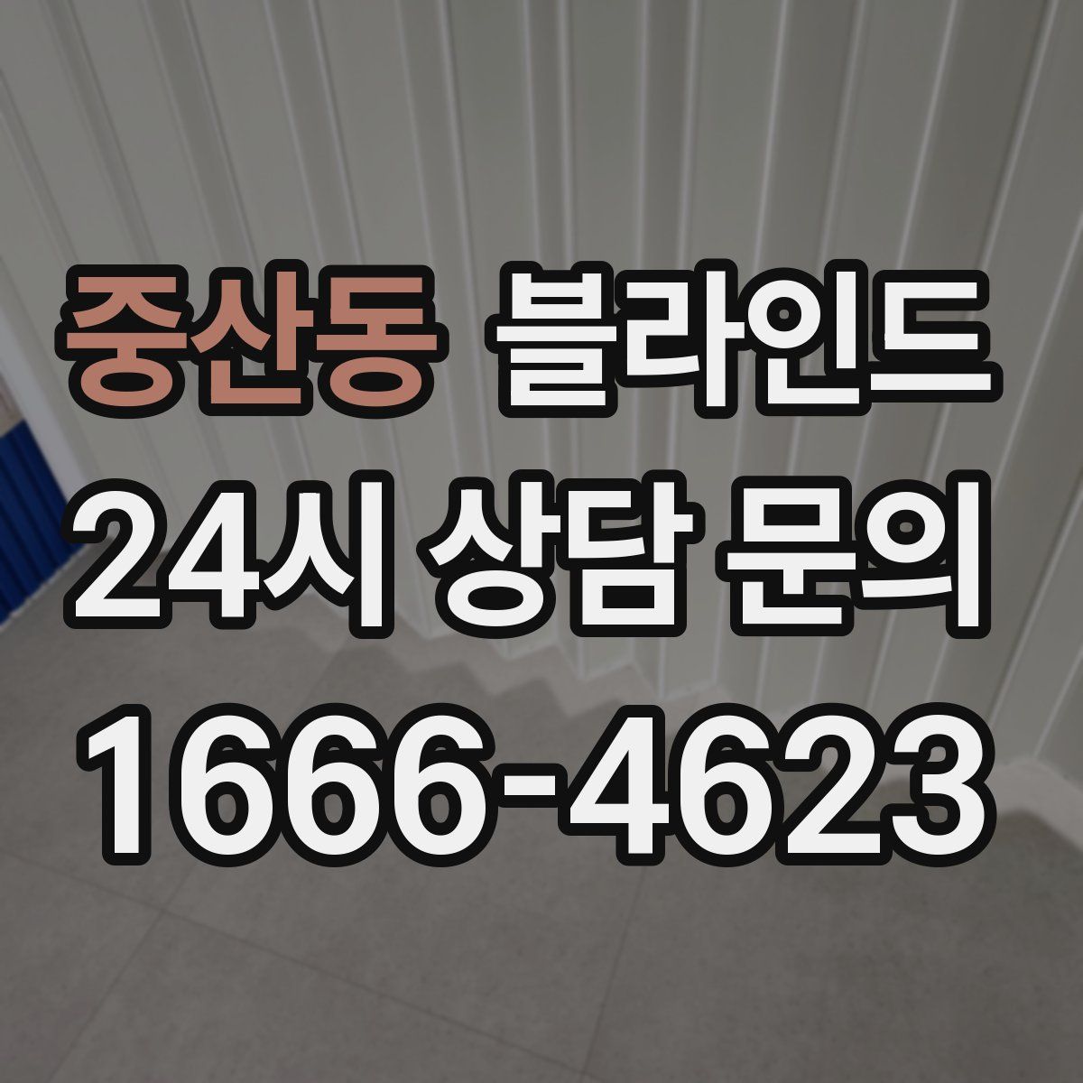 중산동 블라인드