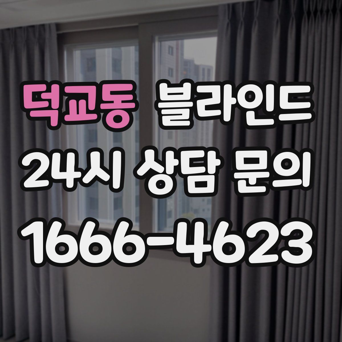 덕교동 블라인드