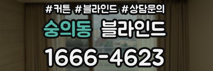 숭의동 블라인드