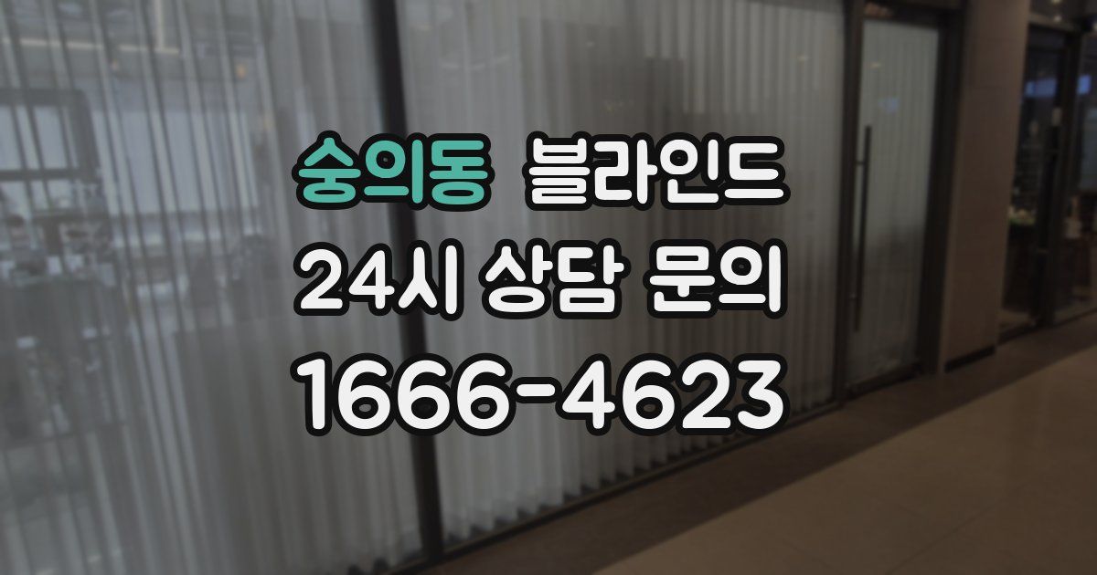 숭의동 블라인드