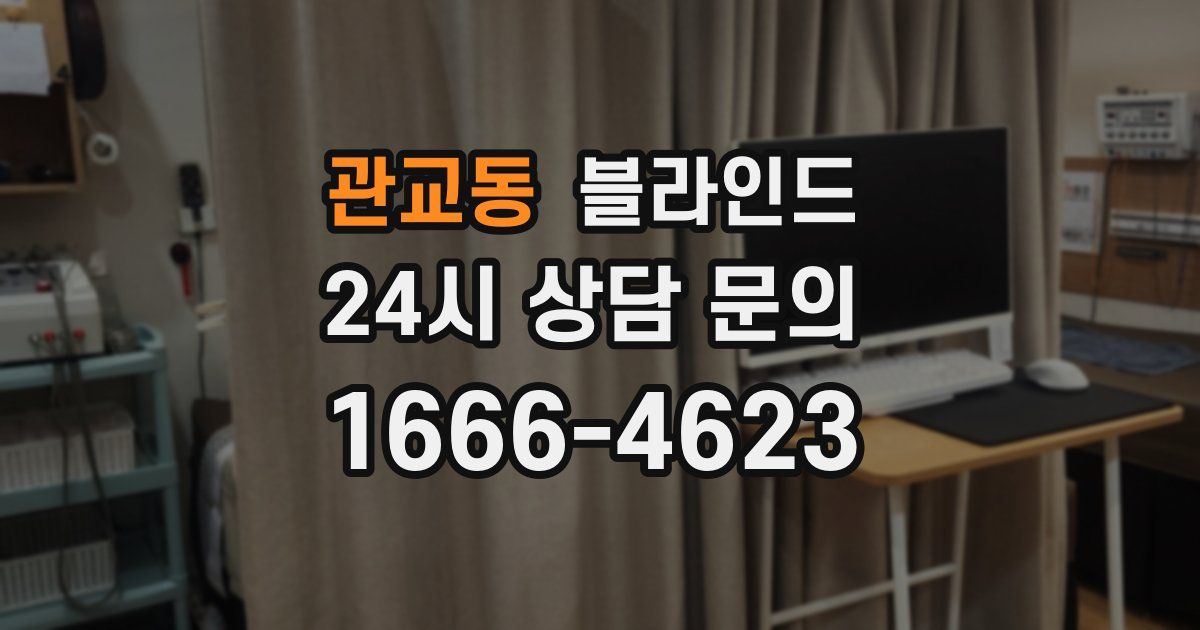 관교동 블라인드