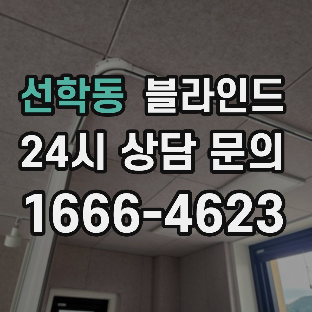 선학동 블라인드