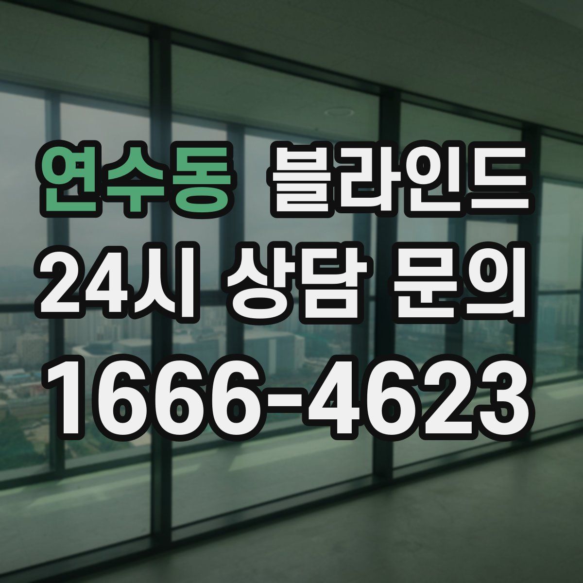 연수동 블라인드
