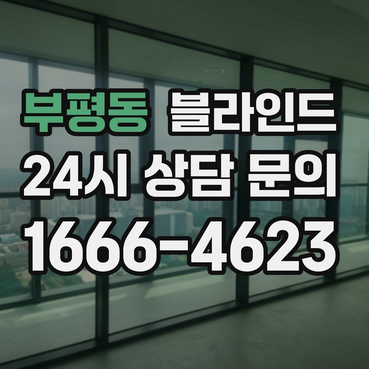 부평동 블라인드