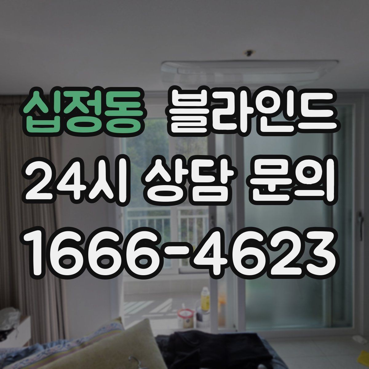 십정동 블라인드 선택에서 기능과 디자인 균형 맞추기