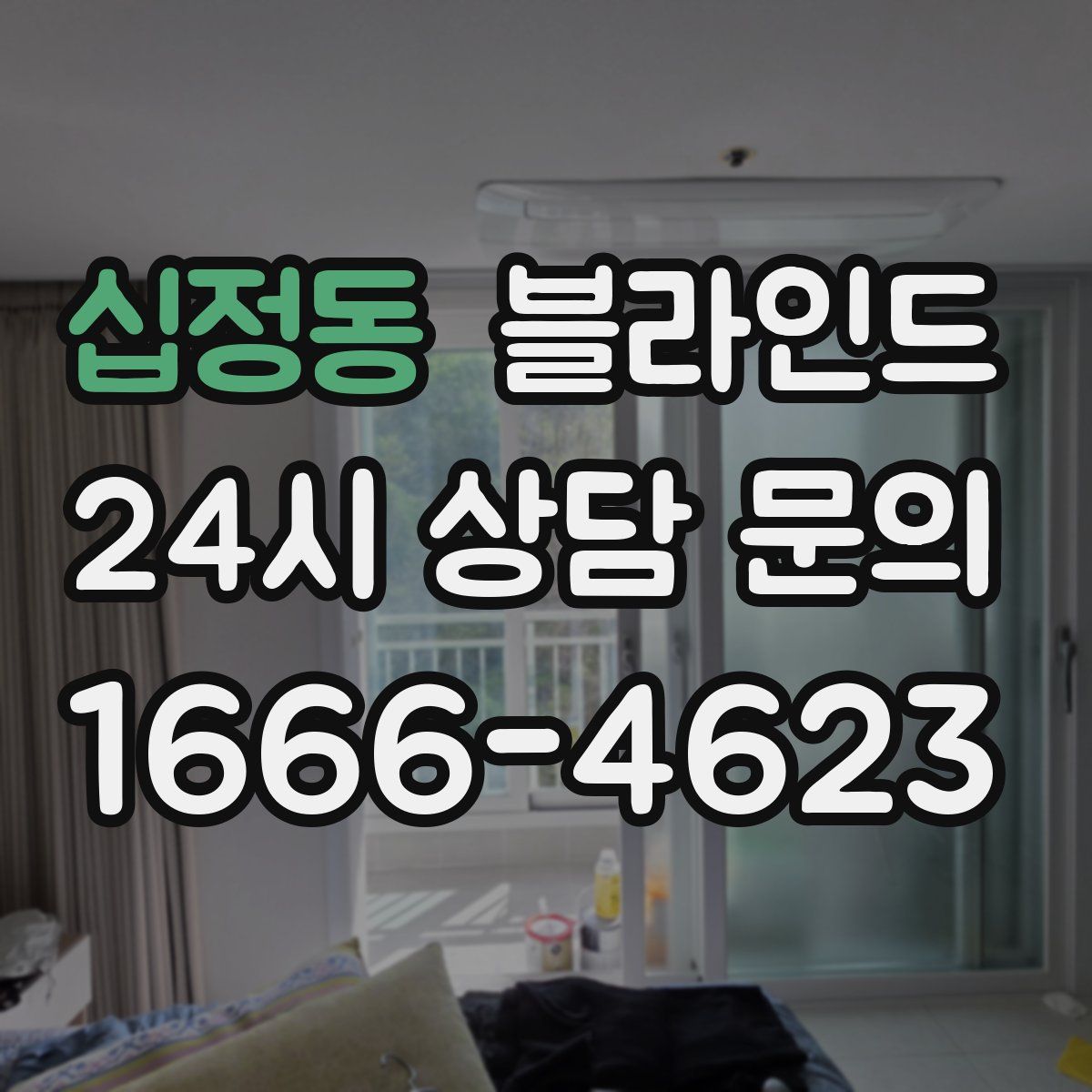 십정동 블라인드
