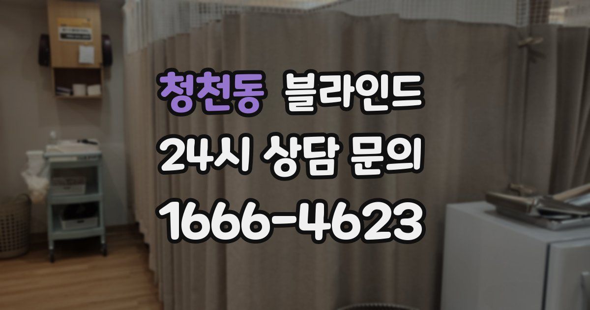 청천동 블라인드