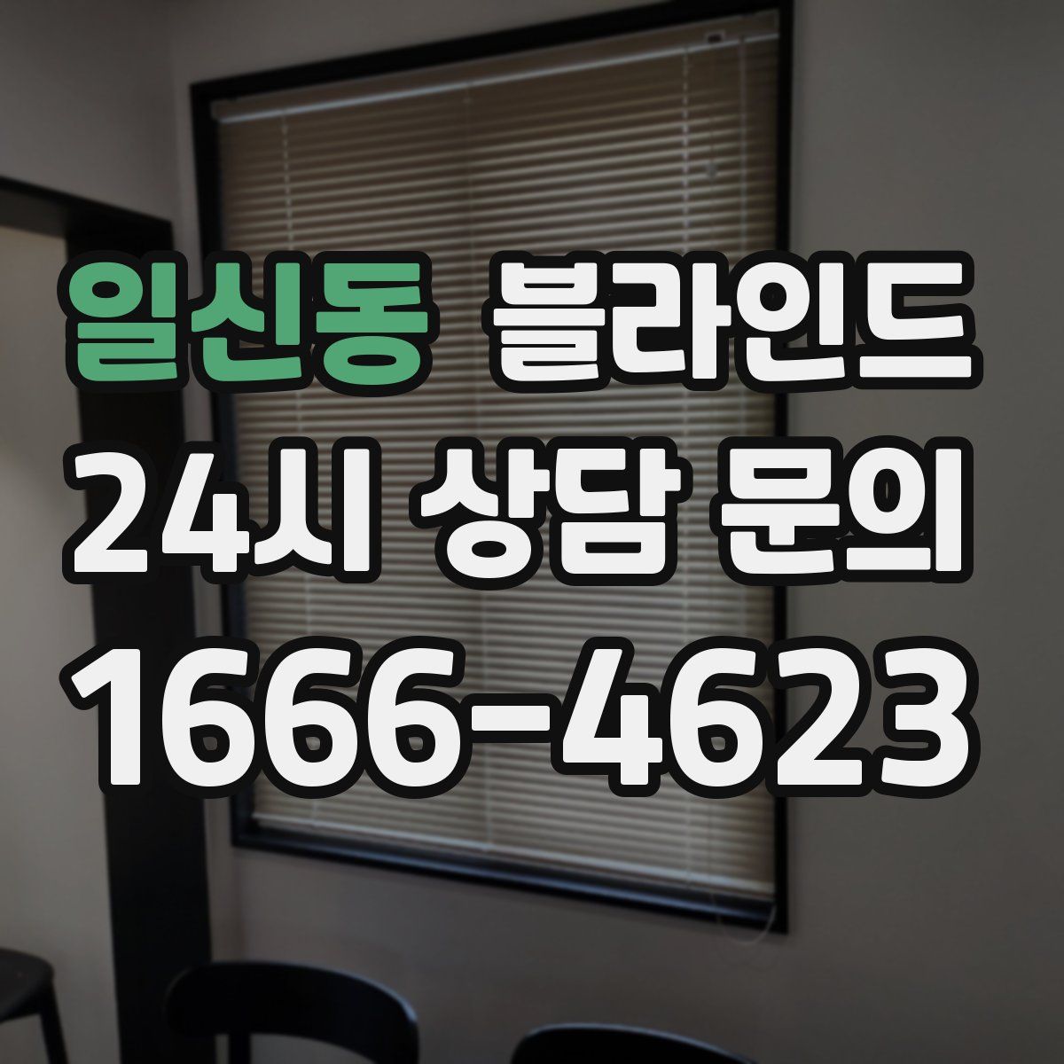 일신동 블라인드