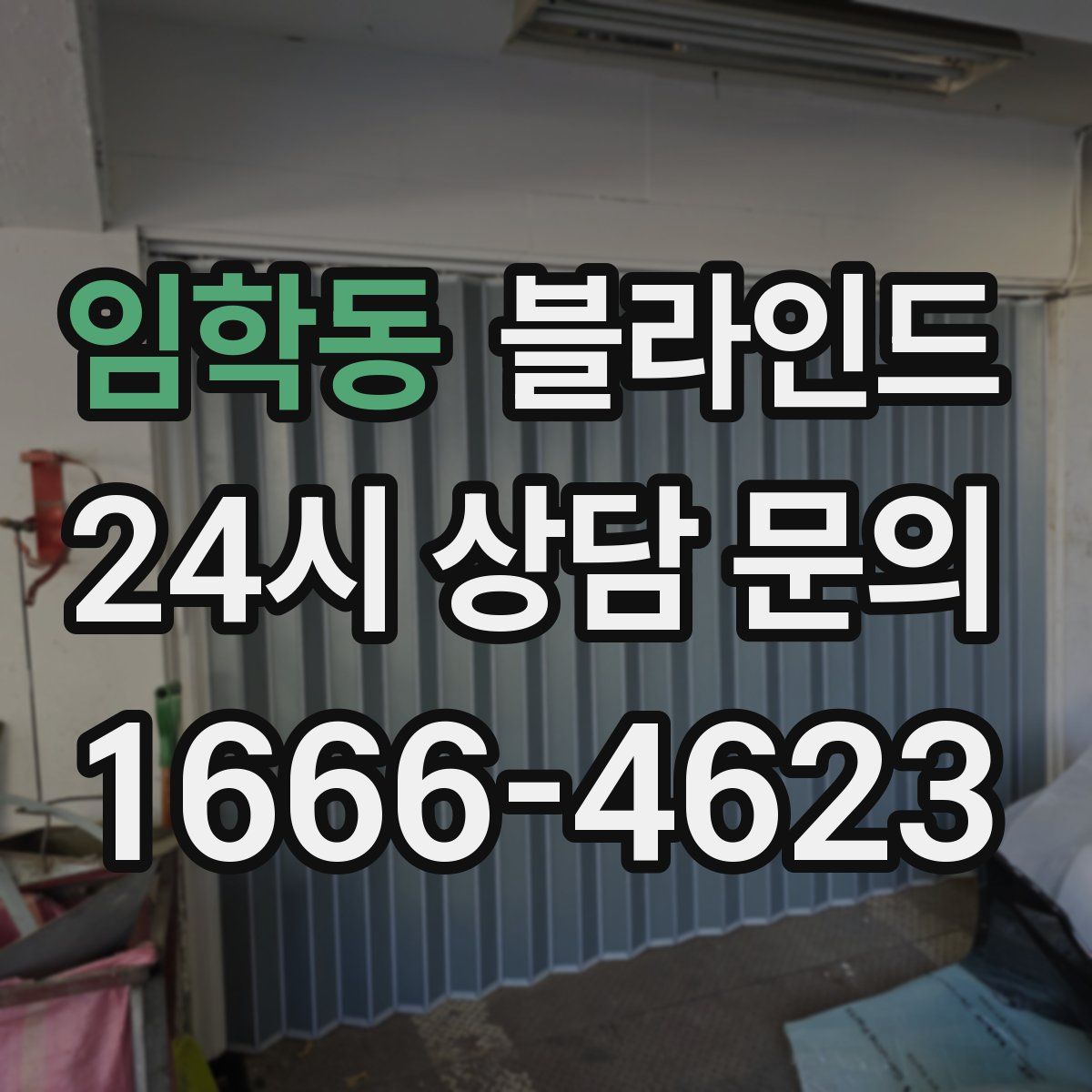 임학동 블라인드