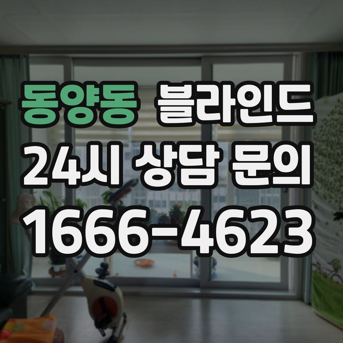 동양동 블라인드