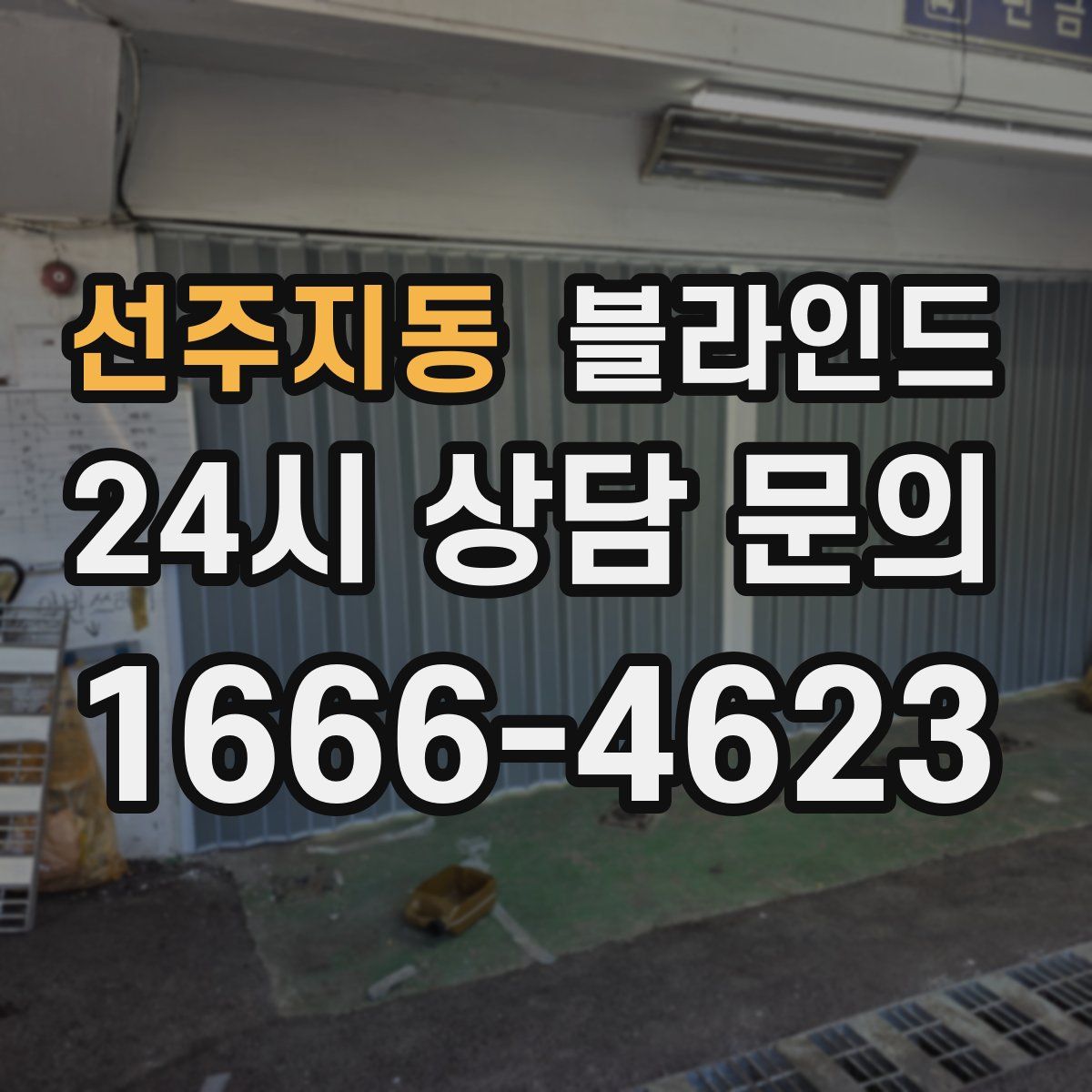 선주지동 블라인드