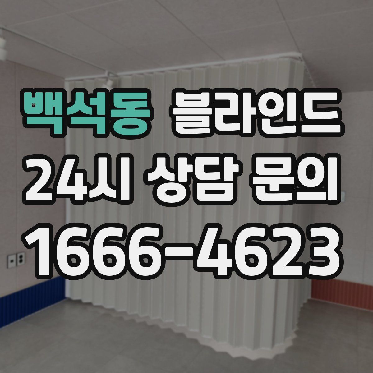 백석동 블라인드