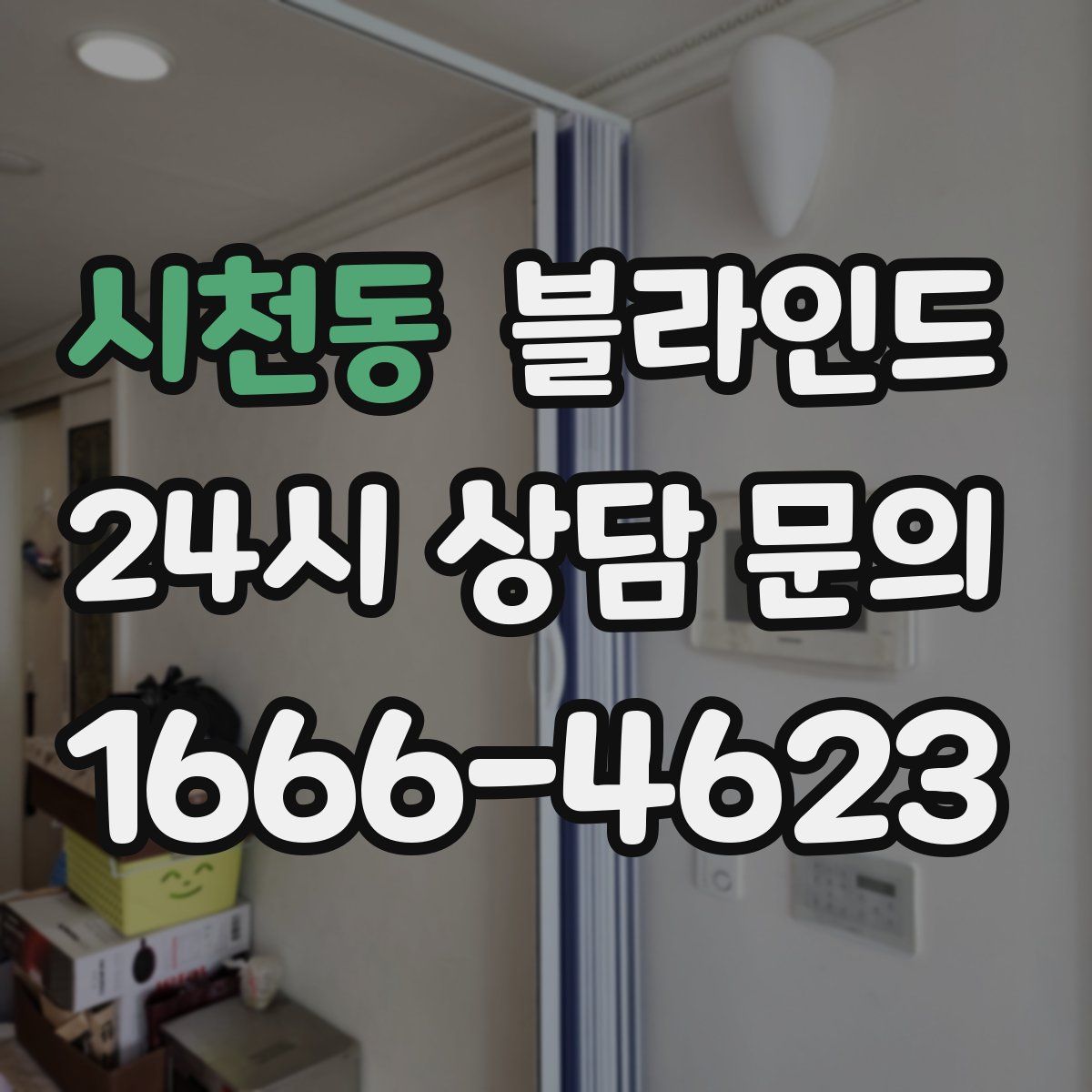 시천동 블라인드