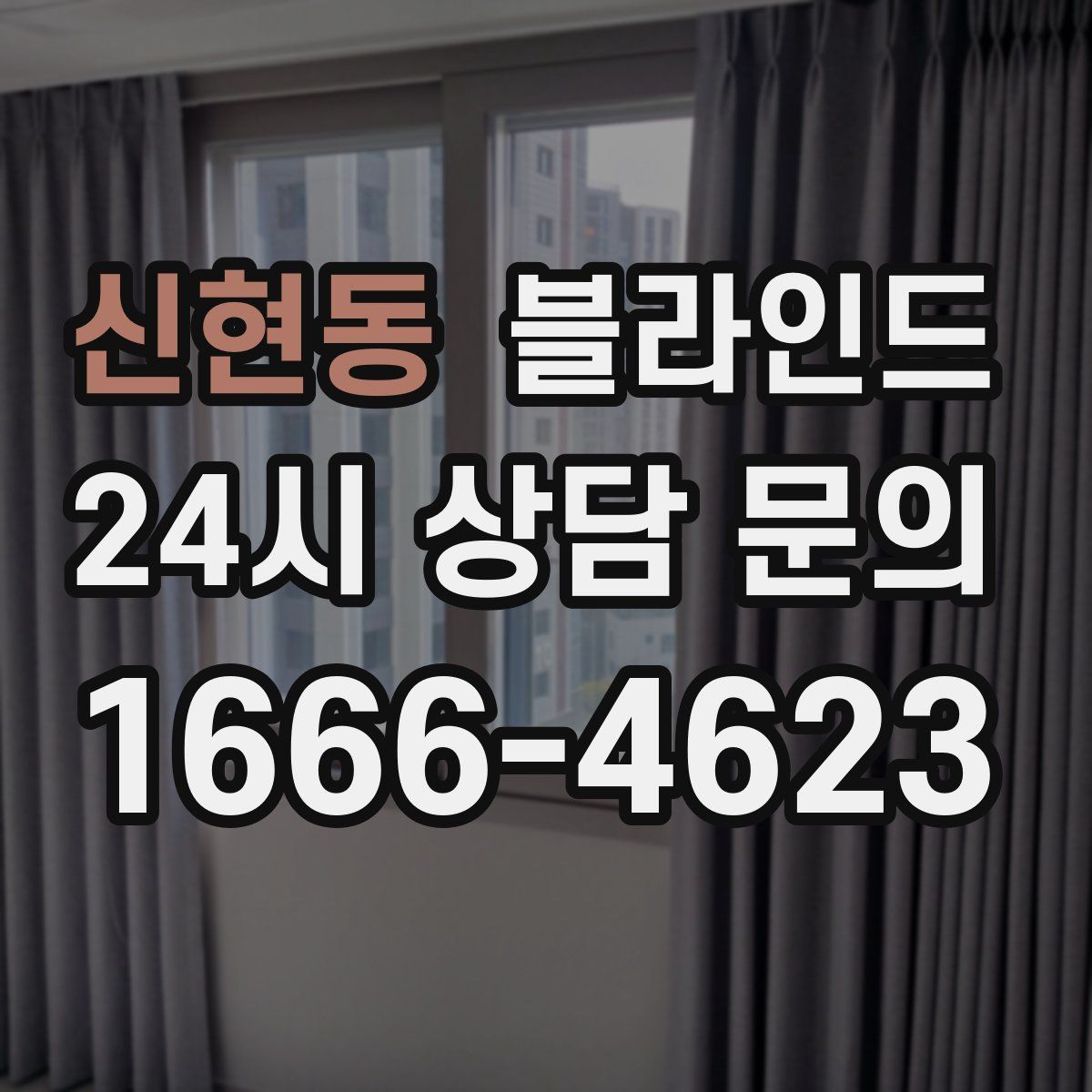 신현동 블라인드