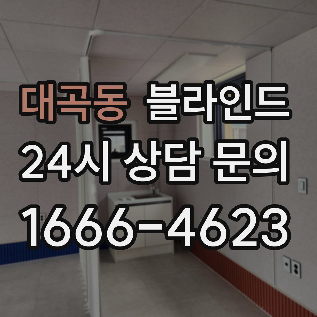 대곡동 블라인드