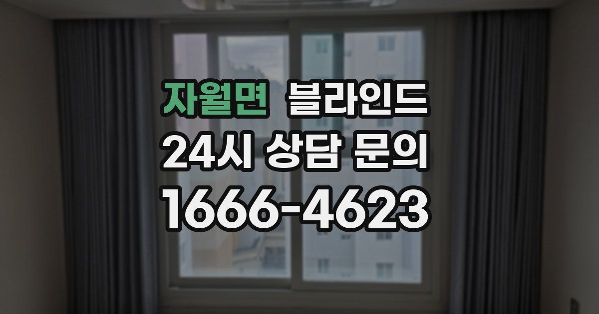 자월면 블라인드