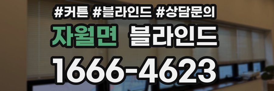 자월면 블라인드