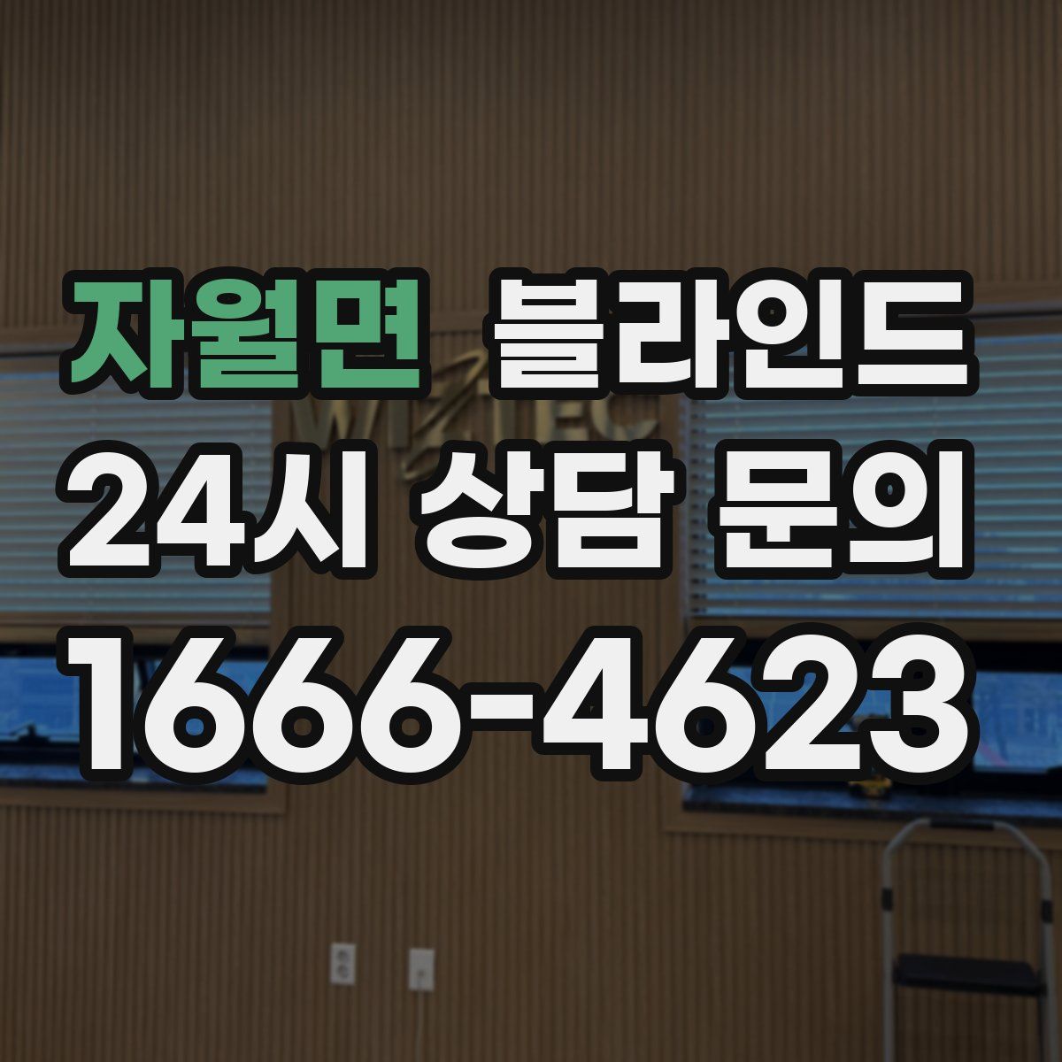 자월면 블라인드