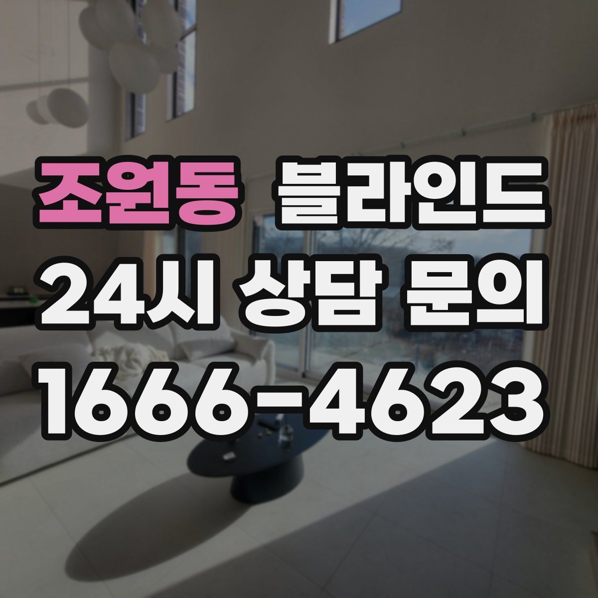 조원동 블라인드