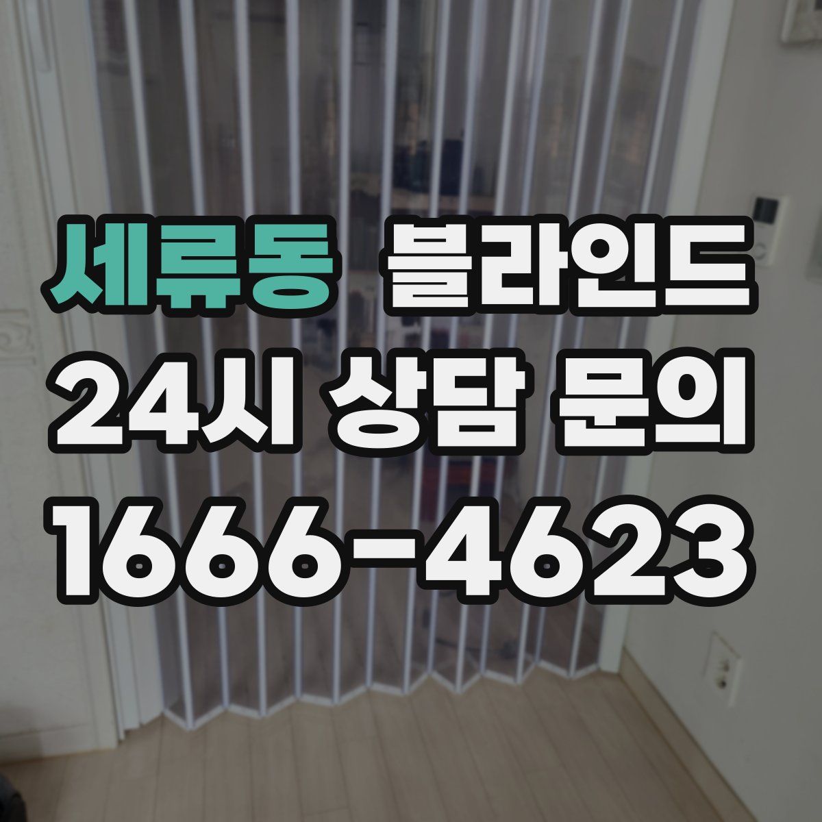 세류동 블라인드