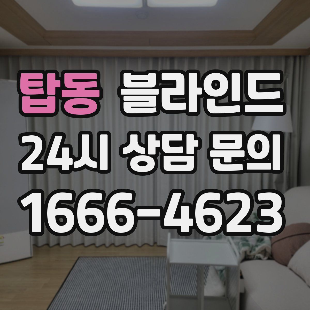 탑동 블라인드