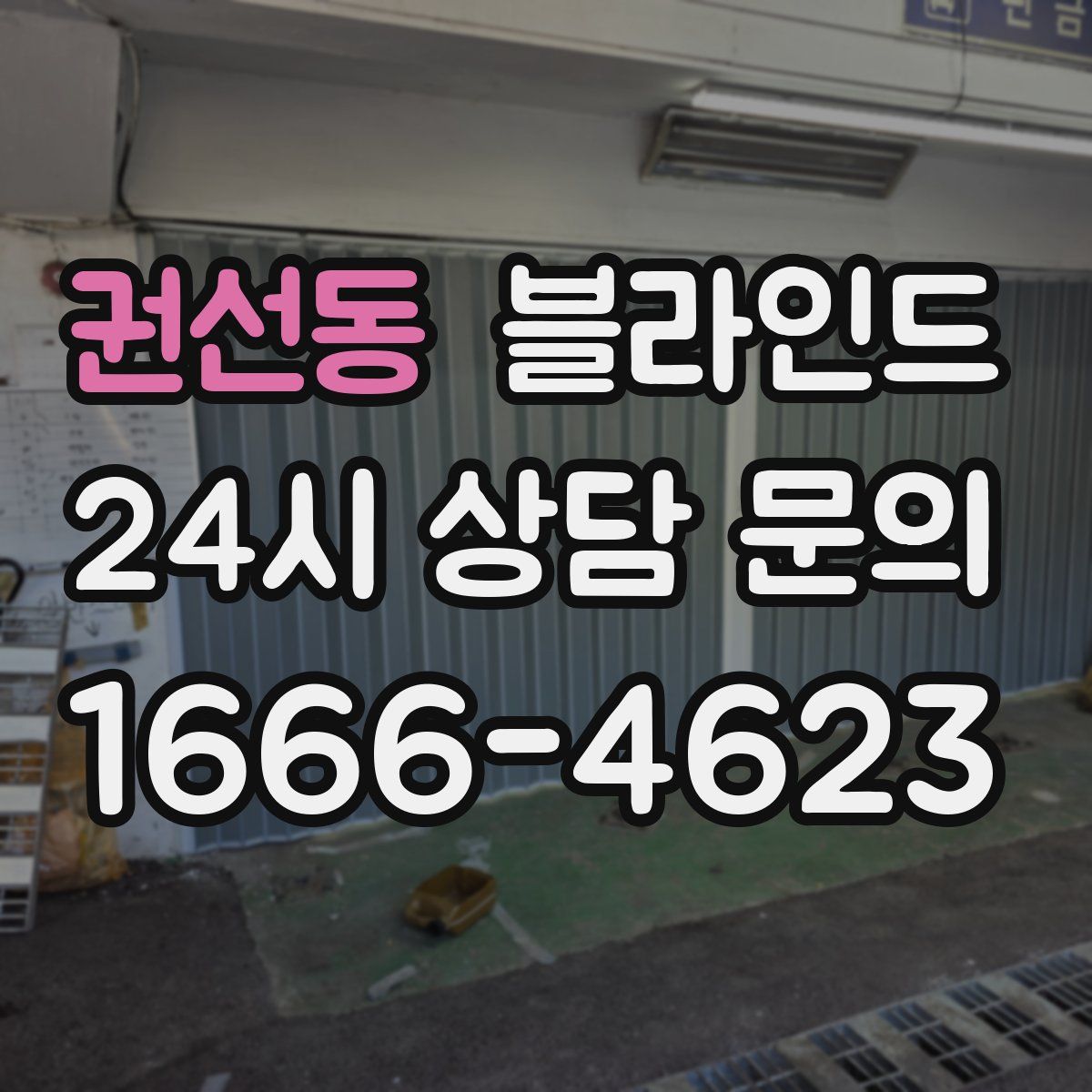 권선동 블라인드