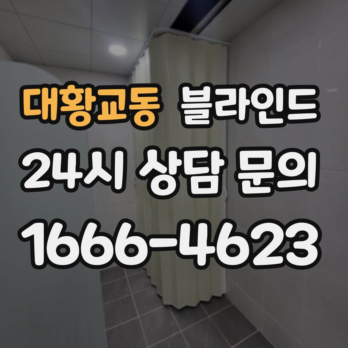 대황교동 블라인드