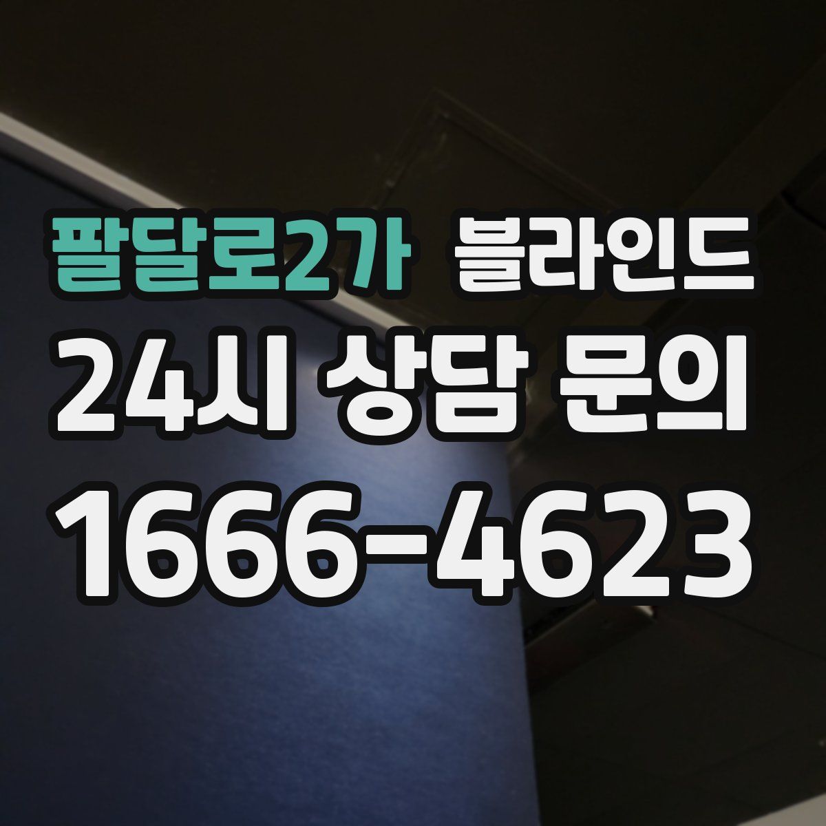 팔달로2가 블라인드